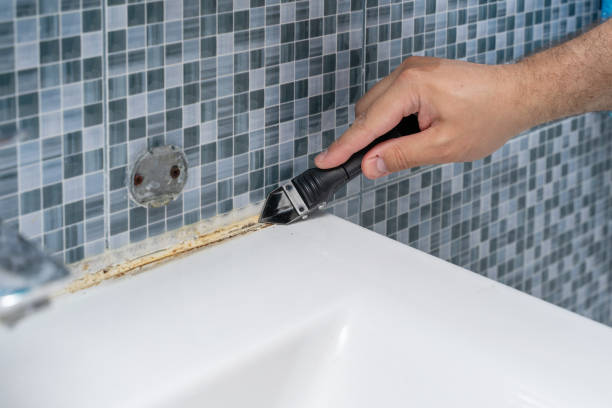 Best Residential Mold Remediation in Taylors, SC